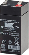 ES4.5-4