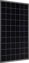 IBC MonoSol 310 OS5